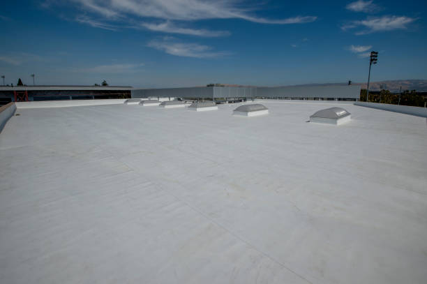 Best Roof Repair  in Douglas, AL